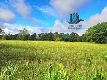 VENDO FINCA DE 10HECTAREAS + PROGRESO