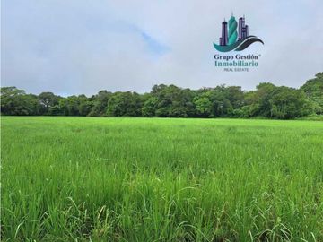 VENDO FINCA DE 10HECTAREAS + PROGRESO