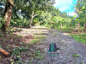 VENDO FINCA DE 10HECTAREAS + PROGRESO