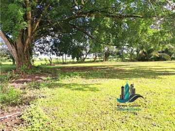 VENDO FINCA DE 10HECTAREAS + PROGRESO