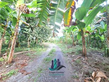 VENDO FINCA DE 10HECTAREAS + PROGRESO