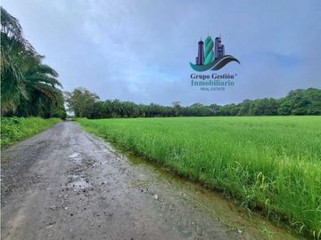 VENDO FINCA DE 10HECTAREAS + PROGRESO