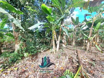 VENDO FINCA DE 10HECTAREAS + PROGRESO