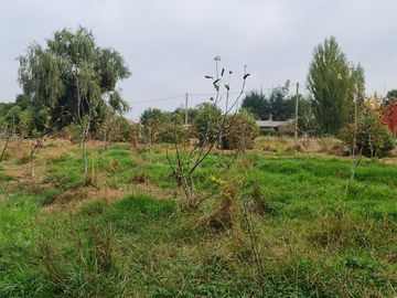 Parcela en venta en MELIPILLA