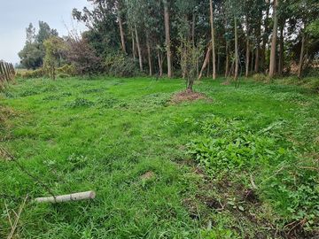 Parcela en venta en MELIPILLA