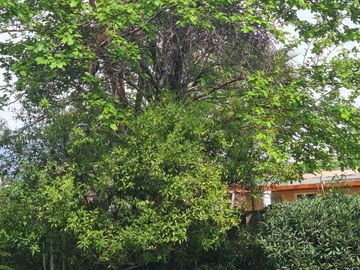 Casa en venta en MACUL
