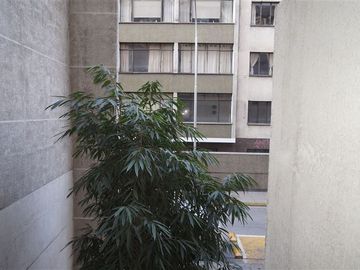 Departamento en Venta en Bellas Artes