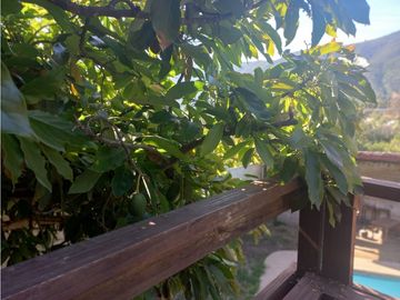 Cómoda Y Amplia Cabaña Sector Av Granizo,Olmue
