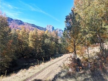 Country Las Peinetas