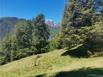 Country Las Peinetas