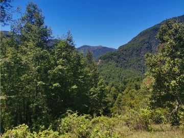 Country Las Peinetas