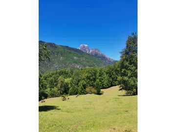 Country Las Peinetas