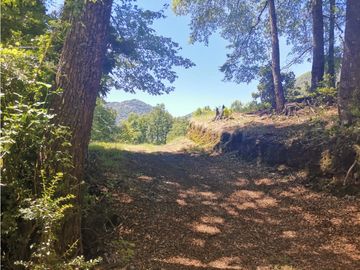 Country Las Peinetas