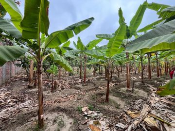 Finca en Venta en la vía Durán - Taura, km. 25, GabR