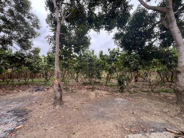Finca en Venta en la vía Durán - Taura, km. 25, GabR