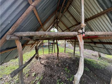 Finca Productiva en Venta Los Palmitos, Sucre: Ganadería y Cultivos