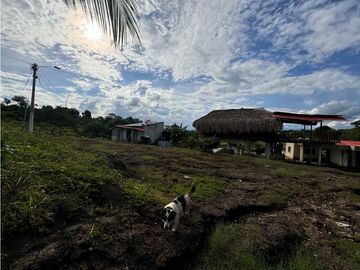 Finca Productiva en Venta Los Palmitos, Sucre: Ganadería y Cultivos