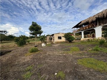 Finca Productiva en Venta Los Palmitos, Sucre: Ganadería y Cultivos