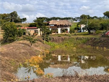 Finca Productiva en Venta Los Palmitos, Sucre: Ganadería y Cultivos