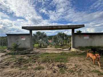 Finca Productiva en Venta Los Palmitos, Sucre: Ganadería y Cultivos