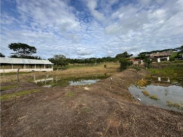 Finca Productiva en Venta Los Palmitos, Sucre: Ganadería y Cultivos