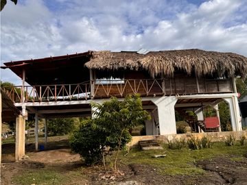 Finca Productiva en Venta Los Palmitos, Sucre: Ganadería y Cultivos
