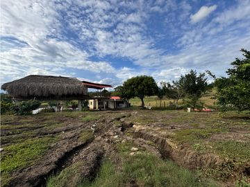 Finca Productiva en Venta Los Palmitos, Sucre: Ganadería y Cultivos