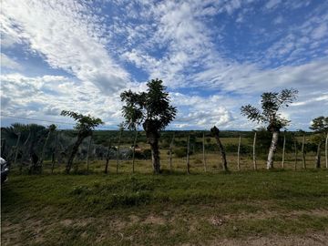 Finca Productiva en Venta Los Palmitos, Sucre: Ganadería y Cultivos