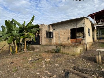 Finca Productiva en Venta Los Palmitos, Sucre: Ganadería y Cultivos
