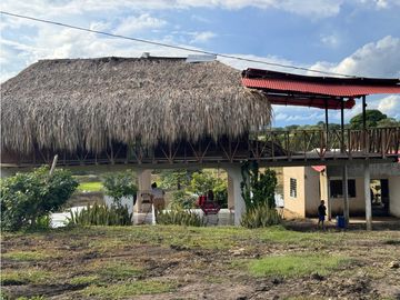Finca Productiva en Venta Los Palmitos, Sucre: Ganadería y Cultivos