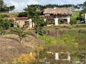 Finca Productiva en Venta Los Palmitos, Sucre: Ganadería y Cultivos