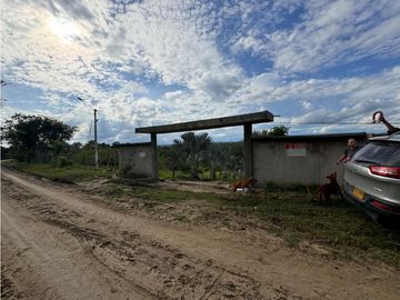 Finca Productiva en Venta Los Palmitos, Sucre: Ganadería y Cultivos