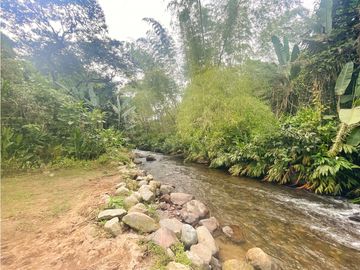 Guest House For Sale Boquia Salento Colombia