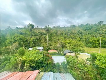 Guest House For Sale Boquia Salento Colombia