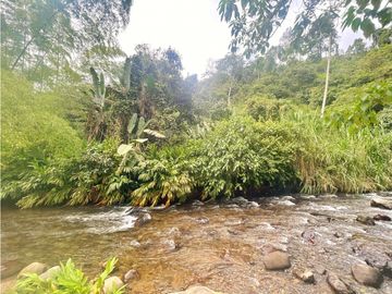 Guest House For Sale Boquia Salento Colombia