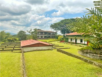 Venta de Finca Tipica Sembrada en Banano Aguacate Yuca Calarcá