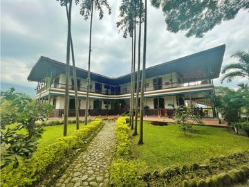 Venta de Finca Tipica Sembrada en Banano Aguacate Yuca Calarcá