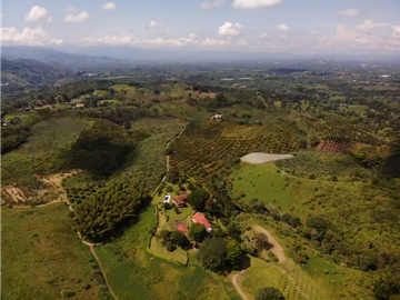 Venta de Finca Tipica Sembrada en Banano Aguacate Yuca Calarcá