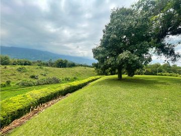 Venta de Finca Tipica Sembrada en Banano Aguacate Yuca Calarcá