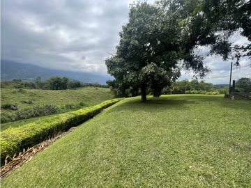 Venta de Finca Tipica Sembrada en Banano Aguacate Yuca Calarcá