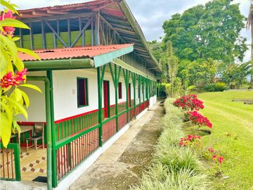 Venta de Finca Tipica Sembrada en Banano Aguacate Yuca Calarcá