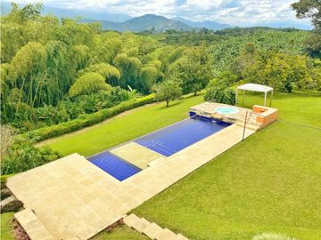 Venta de Finca Tipica Sembrada en Banano Aguacate Yuca Calarcá
