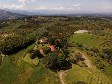 Venta de Finca Tipica Sembrada en Banano Aguacate Yuca Calarcá
