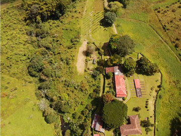 Venta de Finca Tipica Sembrada en Banano Aguacate Yuca Calarcá