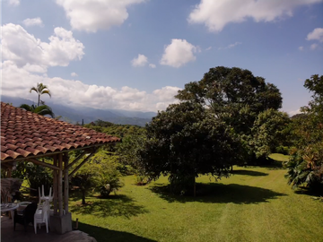 Venta de Finca Tipica Sembrada en Banano Aguacate Yuca Calarcá