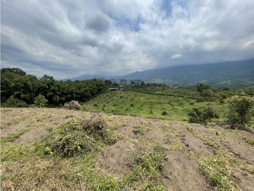 Venta de Finca Tipica Sembrada en Banano Aguacate Yuca Calarcá