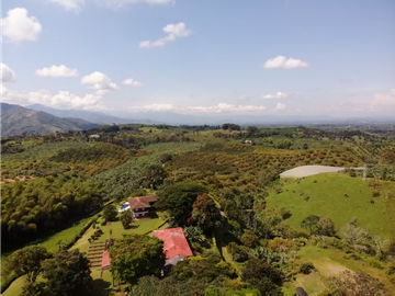 Venta de Finca Tipica Sembrada en Banano Aguacate Yuca Calarcá
