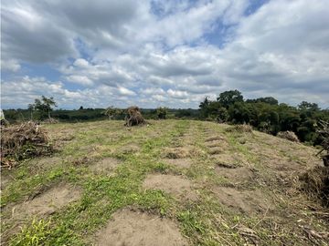 Venta de Finca Tipica Sembrada en Banano Aguacate Yuca Calarcá