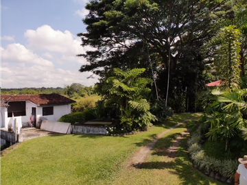 Venta de Finca Tipica Sembrada en Banano Aguacate Yuca Calarcá