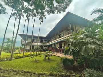 Venta de Finca Tipica Sembrada en Banano Aguacate Yuca Calarcá
